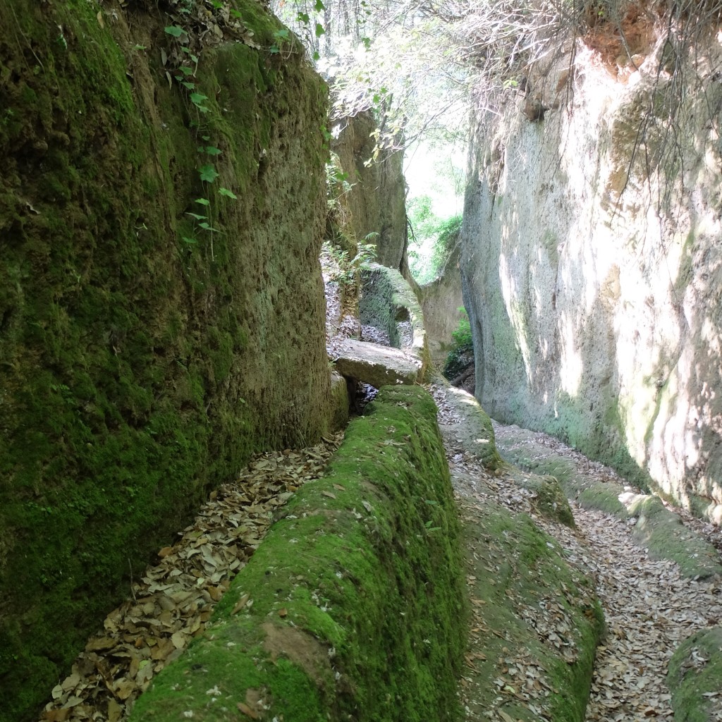 Via cava di Fratenuti a Pitigliano