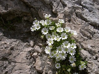 Auguri di Buona Pasqua!!!