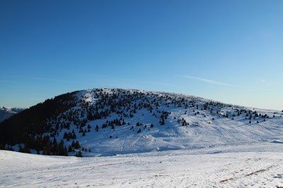 Alla ricerca della neve perduta